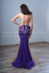 Professional bellydance costume (classic 161a)